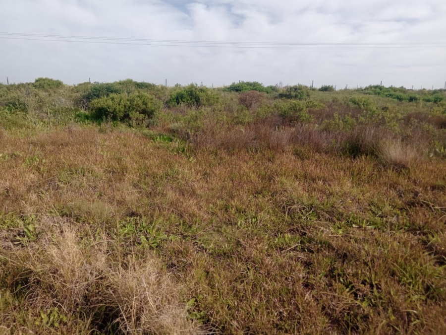 Commercial Property for Sale in C Place Eastern Cape